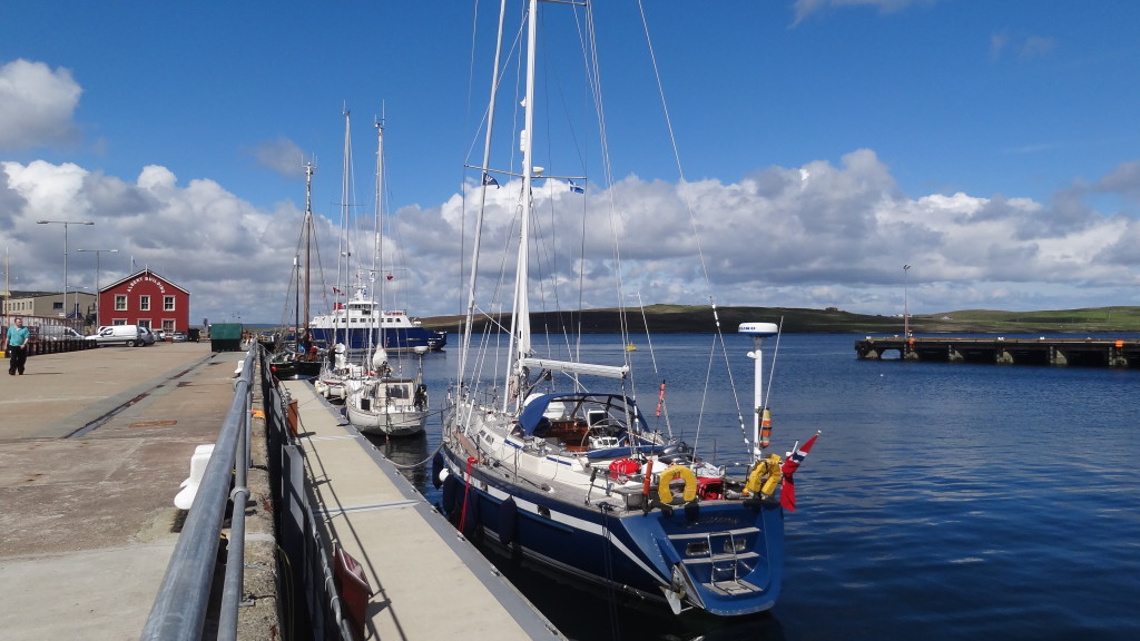 sail boats in the marina